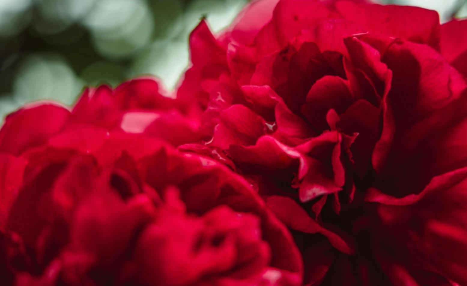 Students learning in comfortable, supportive environment